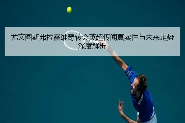 尤文图斯弗拉霍维奇转会英超传闻真实性与未来走势深度解析